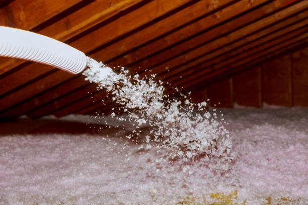 Best Attic Insulation Near Me  in Northern Cambria, PA
