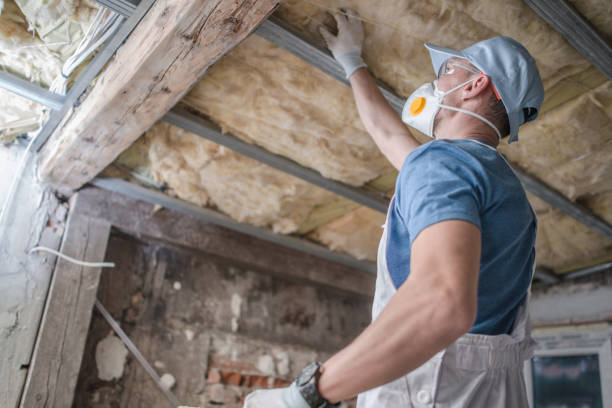 Best Insulation Inspection Services  in Northern Cambria, PA